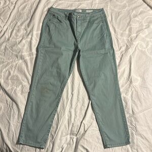Curve appeal, sage color minimalist jeggings